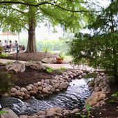 Defiance Ridge Vineyards