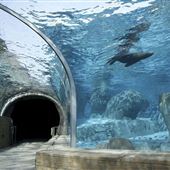 St. Louis Zoo
