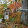 The Cottage
