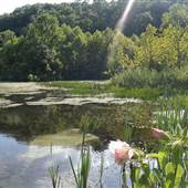 Montauk State Park