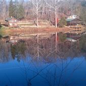 Blue Jay Farm- Dixon