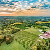 Noboleis Vineyards