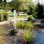 Mizumoto Japenese Stroll Garden at Nathenael Greene Park