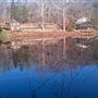 Blue Jay Farm- Dixon