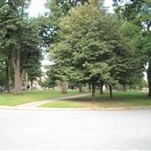 Lindenwood University