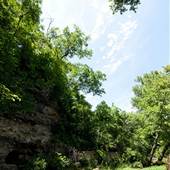 Big Spring State Park