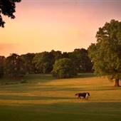 Kuhs Estate and Farm