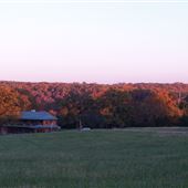 Brainstorm Farm