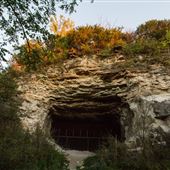 Sodalis Nature Preserve
