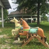 Seminary Picnic Grove and Antique Carousel