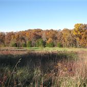 LedgeLand Acres Farm