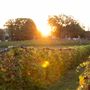 Stone Hill Winery
