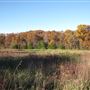 LedgeLand Acres Farm