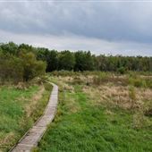 Pershing State Park
