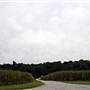 Rhineland fields