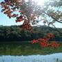 St. Joe State Park