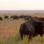 Prairie State Park