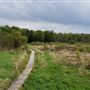 Pershing State Park