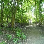 Bangert Wildlife Area
