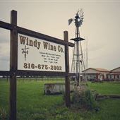 Windy Wine Company