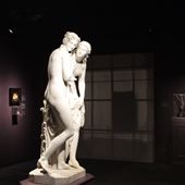 Museum of Art and Archaeology