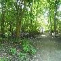 Bangert Wildlife Area