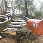 Downtown Branson Cottage "Split Rail"