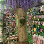 The Frog Prince