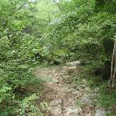 Grand Gulf State Park