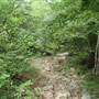 Grand Gulf State Park