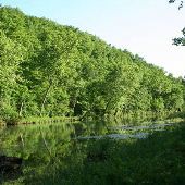 Fishing Zone-Bennet Springs State Park