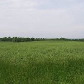St. Genevieve Country side