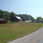 Blue Gill Holler Farm