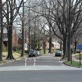 University City neighborhood