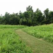 Towosahgy State Historic Site