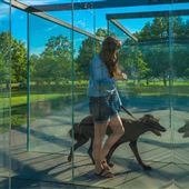 The Nelson-Atkins Museum of Art