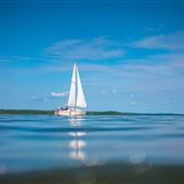 Stockton Lake