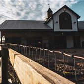 Wild Hollow Ranch