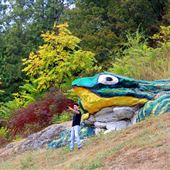 Frog Rock on Route 66 aka WH Croaker