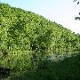 Fishing Zone-Bennet Springs State Park