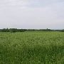 St. Genevieve Country side