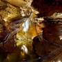 Onondaga Cave State Park