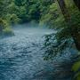 Blue Spring