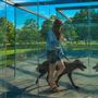 The Nelson-Atkins Museum of Art