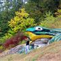 Frog Rock on Route 66 aka WH Croaker