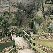 Rock Bridge Memorial State Park