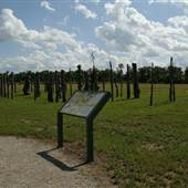 Iliniwek Village State Historic Site