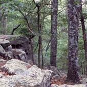 Hawn State Park