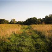 West 43 Wilderness Area