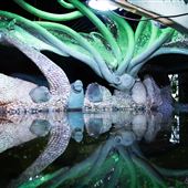 City Museum